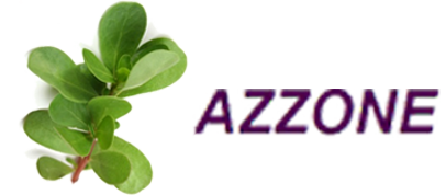 :: Azzone Inc ::